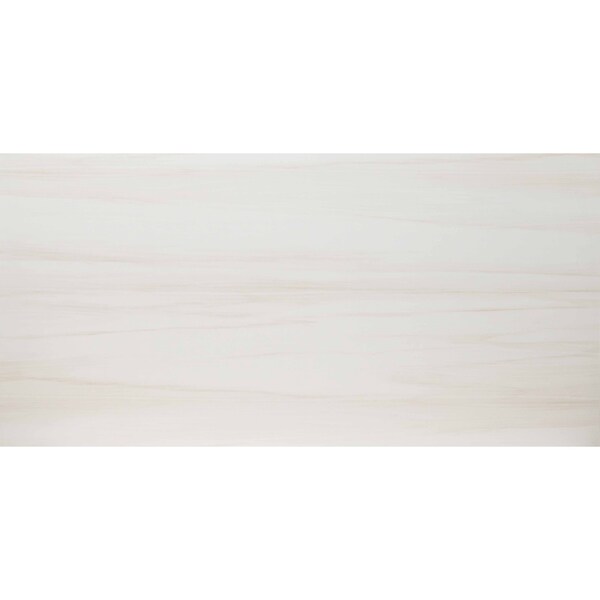Msi Eden Dolomite SAMPLE Matte Porcelain Floor And Wall Tile ZOR-PT-0413-SAM - main
